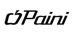 Paini